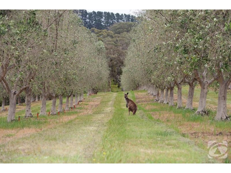 470 Bahloo Glen Road, Mount Compass SA 5210