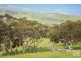 470 Bahloo Glen Road, Mount Compass SA 5210