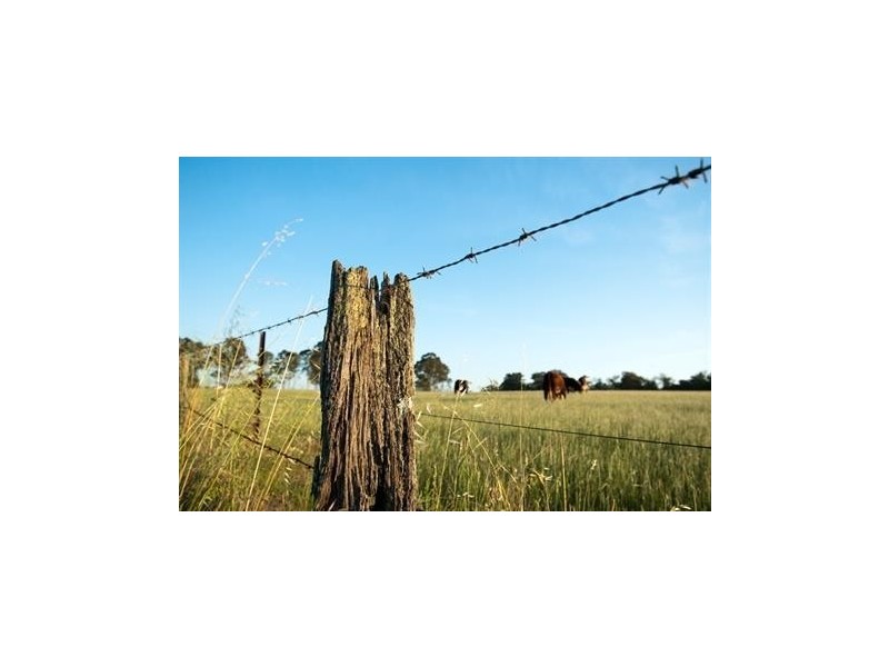 254-256 Main Road, Walkers Lane, Mclaren Vale SA 5171