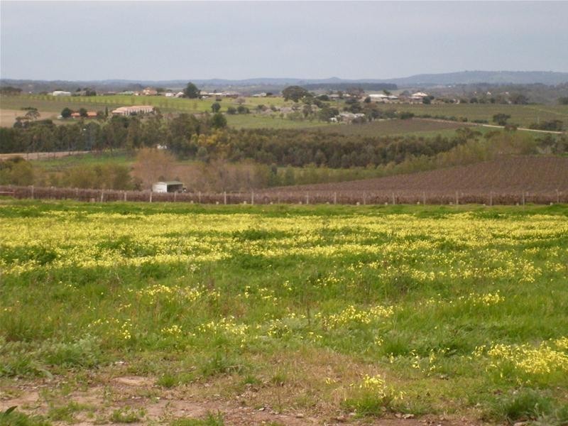 Lot 50  California Road, Mclaren Vale SA 5171