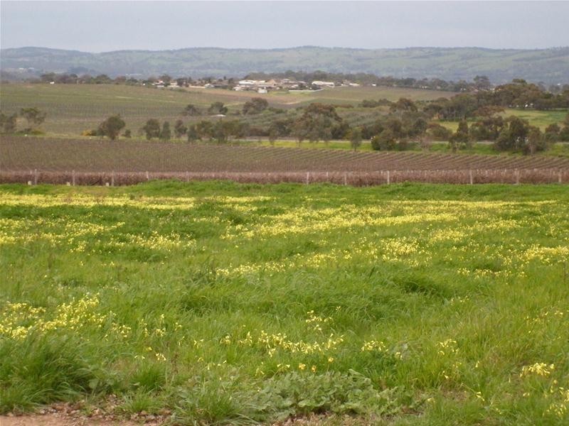 Lot 50  California Road, Mclaren Vale SA 5171