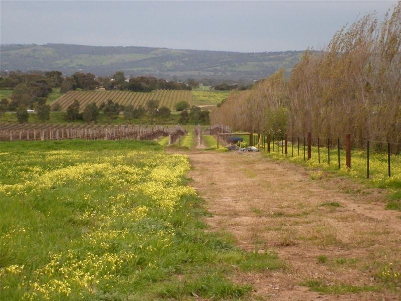 Lot 50  California Road, Mclaren Vale SA 5171