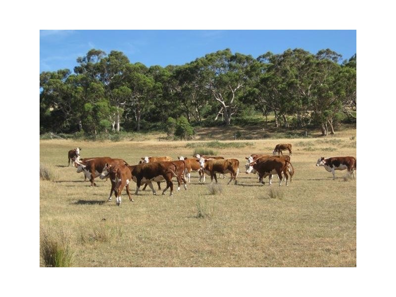 Lot 300 Enterprise Road, Mount Compass SA 5210