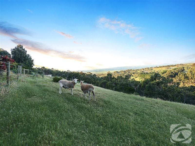 85 Bangor Road, Willunga South SA 5172