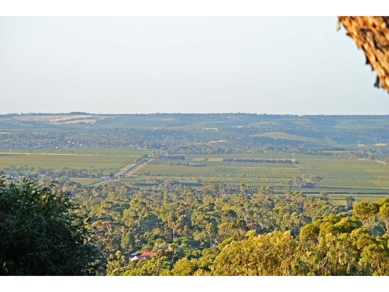 10 St Patricks Street, Willunga SA 5172