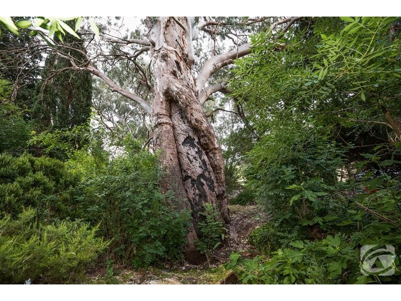 19 Quarry Road, Willunga SA 5172