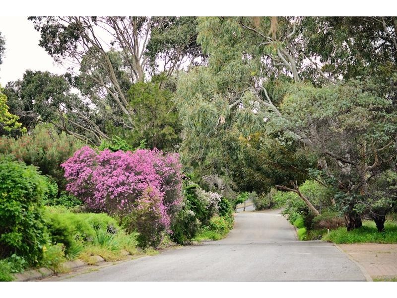 6 Quarry Court, Willunga SA 5172