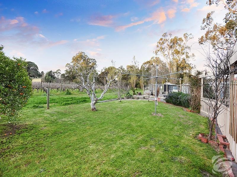 139 Blewitt Springs Road, Mclaren Flat SA 5171