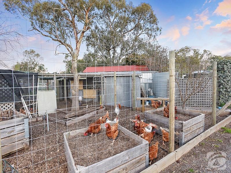 139 Blewitt Springs Road, Mclaren Flat SA 5171