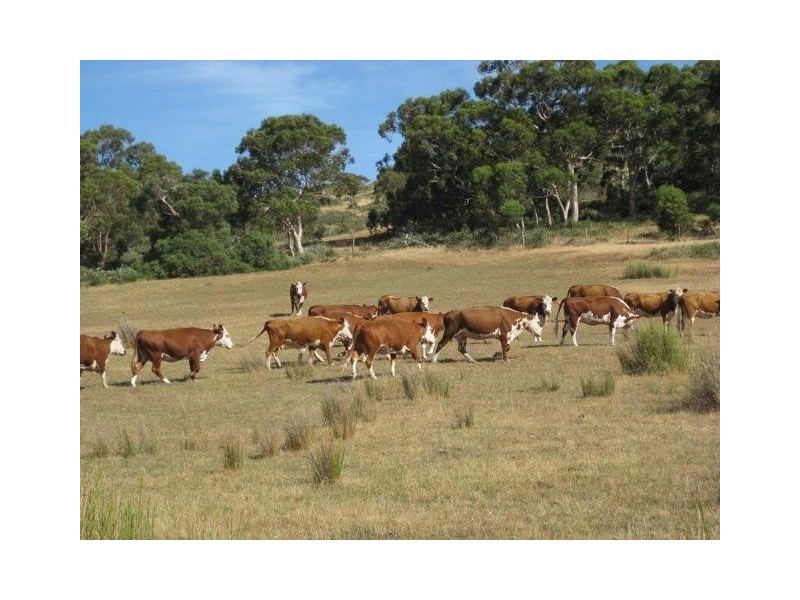 Lot 300 Enterprise Road, Mount Compass SA 5210