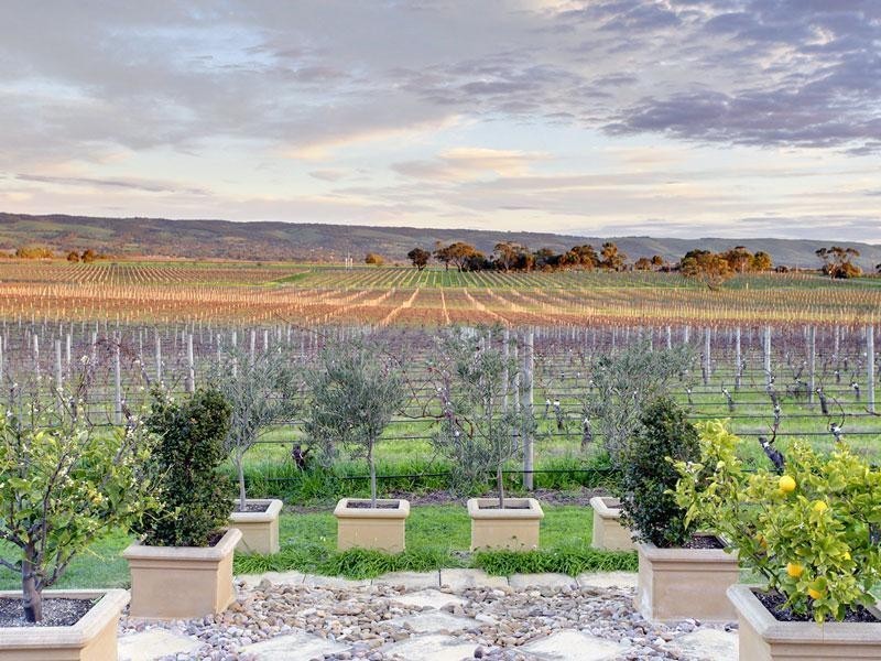 24 Harvest Drive, Mclaren Vale SA 5171