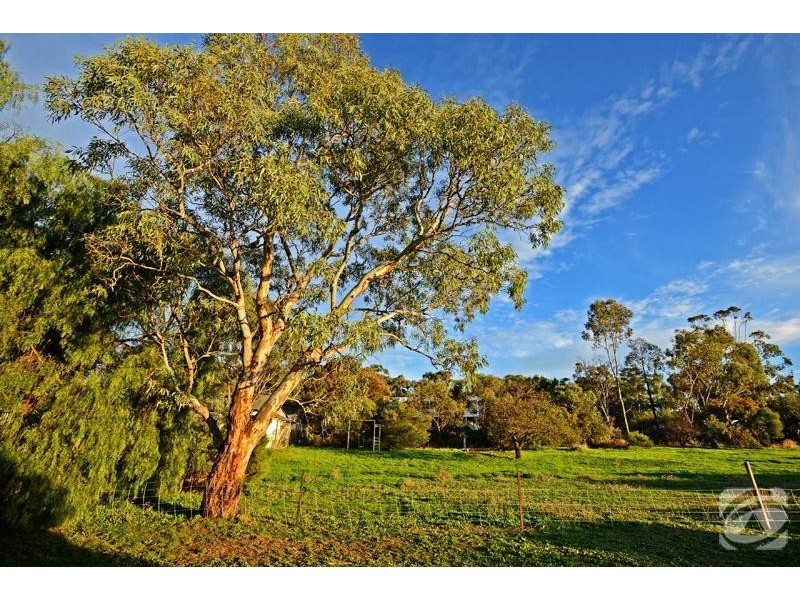 13 St Marys Street, Willunga SA 5172