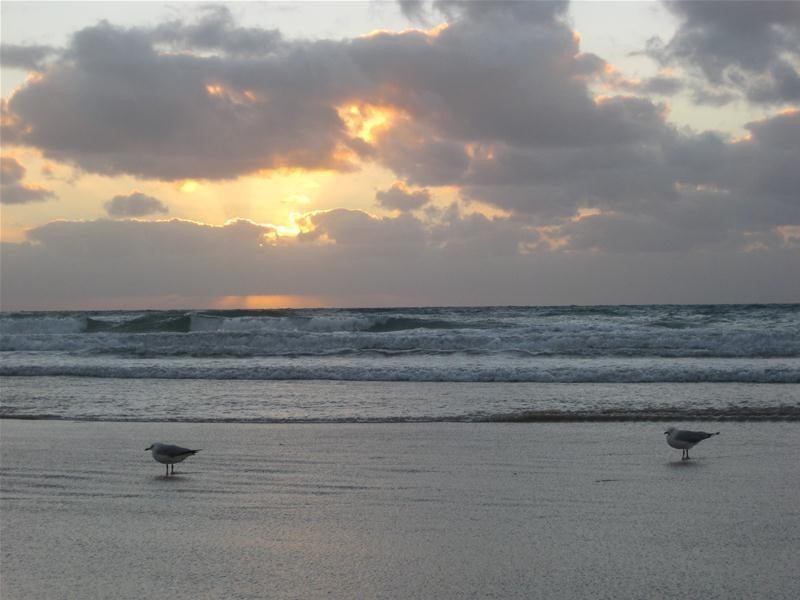 28 Warrigal Road, Aldinga Beach SA 5173