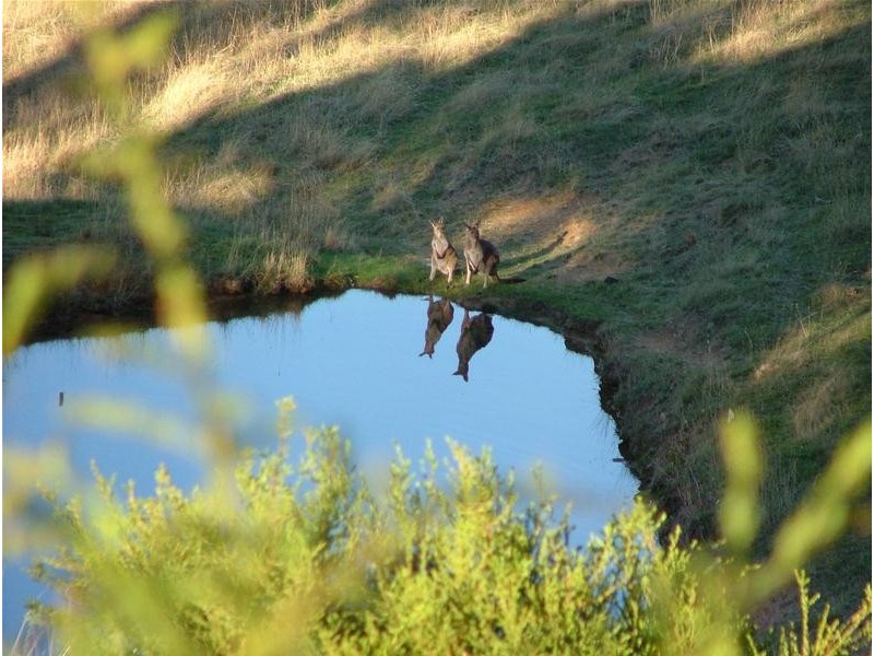 Victor Harbor SA 5211