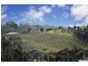 Lot 15 Hyland  Rise, Mclaren Vale SA 5171