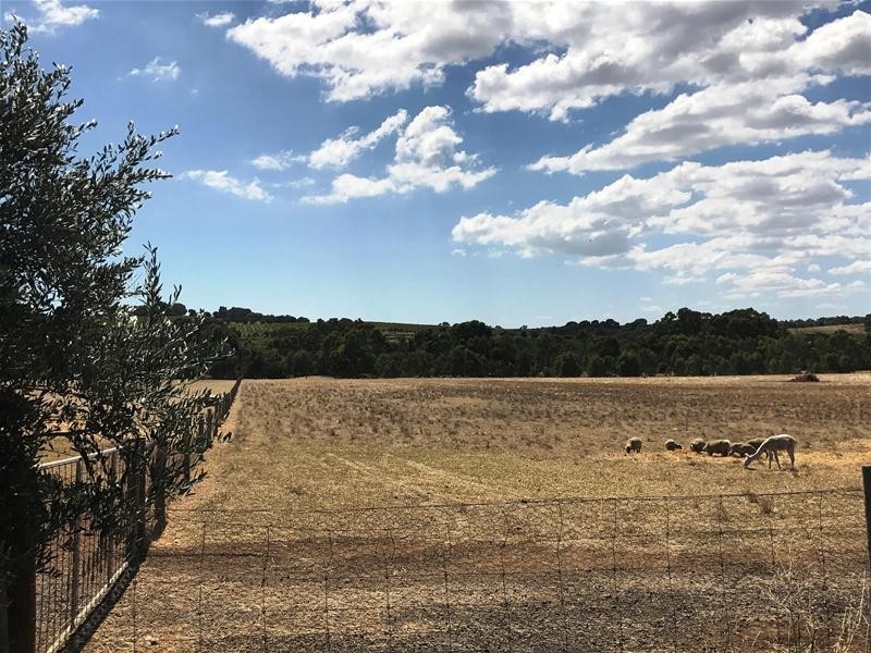 Lot 9 Walkers Lane, Mclaren Vale SA 5171