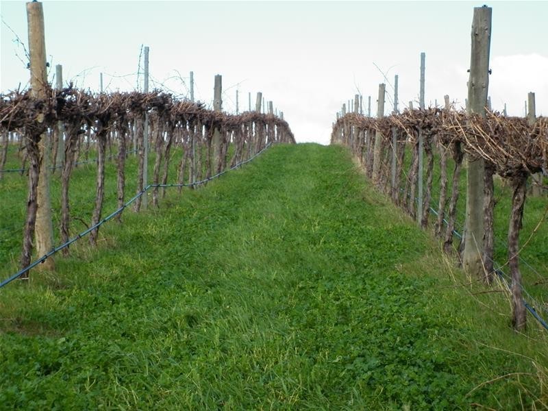 Lot 30 Braeside Road, Finniss SA 5255