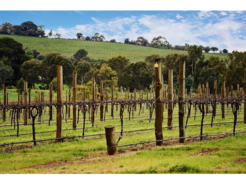 Lot 103 Tatachilla Road, Mclaren Vale SA 5171