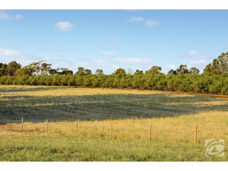 297 Rogers Road, Willunga SA 5172