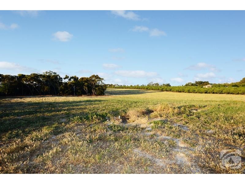 297 Rogers Road, Willunga SA 5172