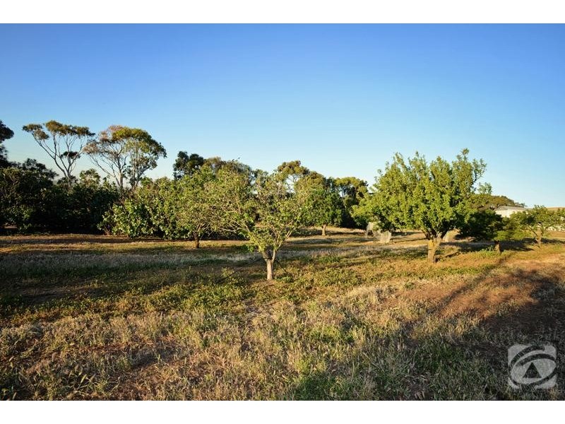 297 Rogers Road, Willunga SA 5172