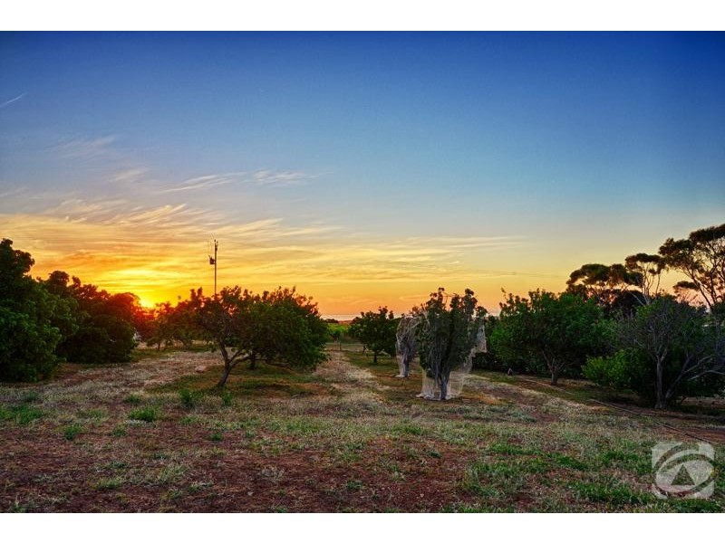 297 Rogers Road, Willunga SA 5172