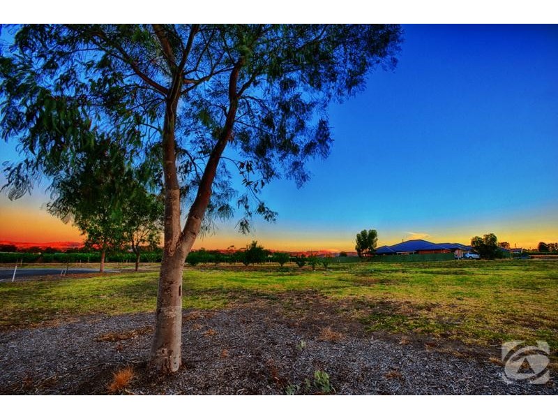 49 Summer Street, Mclaren Flat SA 5171