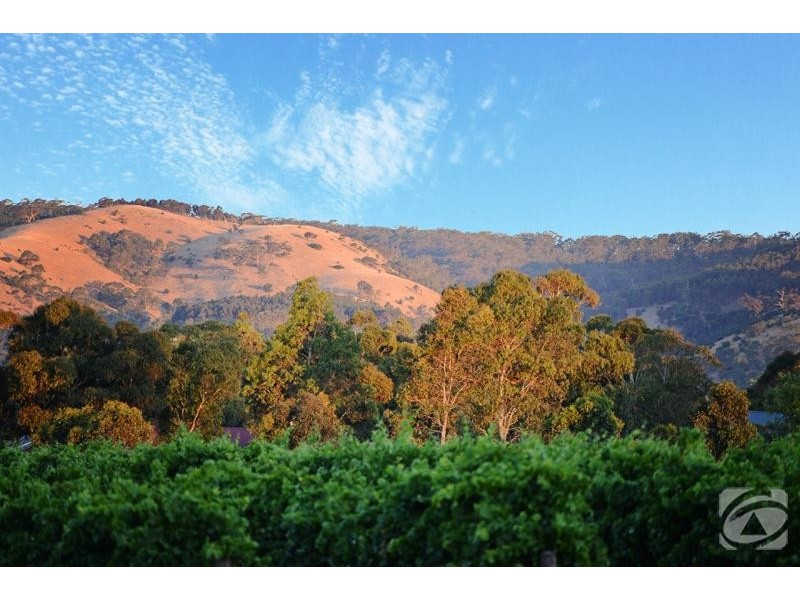 49 Summer Street, Mclaren Flat SA 5171