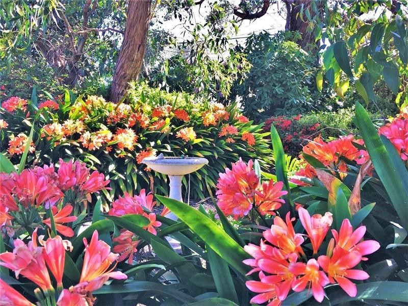 15 Sturt Place, Mount Compass SA 5210