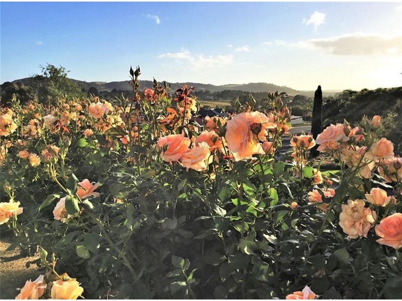 15 Sturt Place, Mount Compass SA 5210