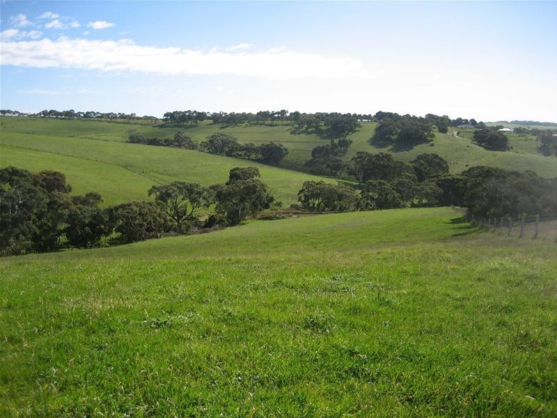 51 Sneyd Road, Mount Jagged SA 5211