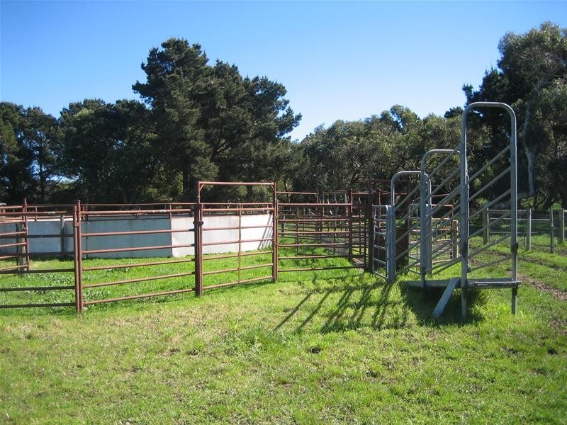 51 Sneyd Road, Mount Jagged SA 5211