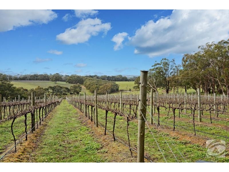416 Wickham Hill Road, Mclaren Vale SA 5171