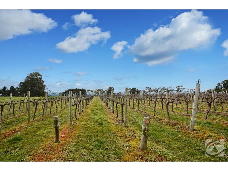 416 Wickham Hill Road, Mclaren Vale SA 5171