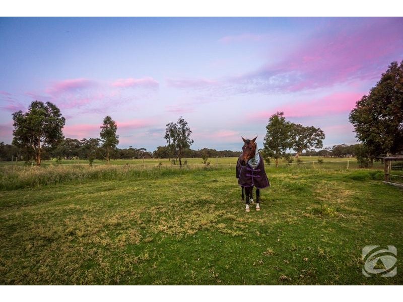 20 Button Lane, Myponga SA 5202