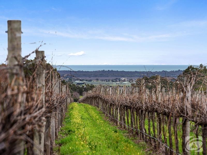 175 Almond Grove Road, Willunga South SA 5172