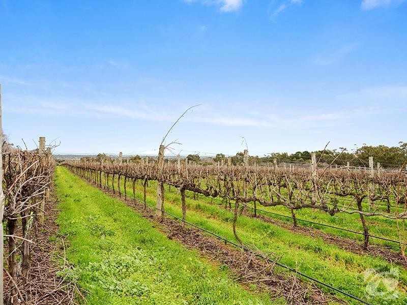 175 Almond Grove Road, Willunga South SA 5172