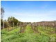 175 Almond Grove Road, Willunga South SA 5172