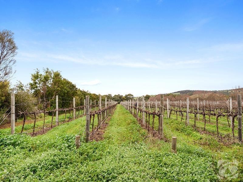 175 Almond Grove Road, Willunga South SA 5172