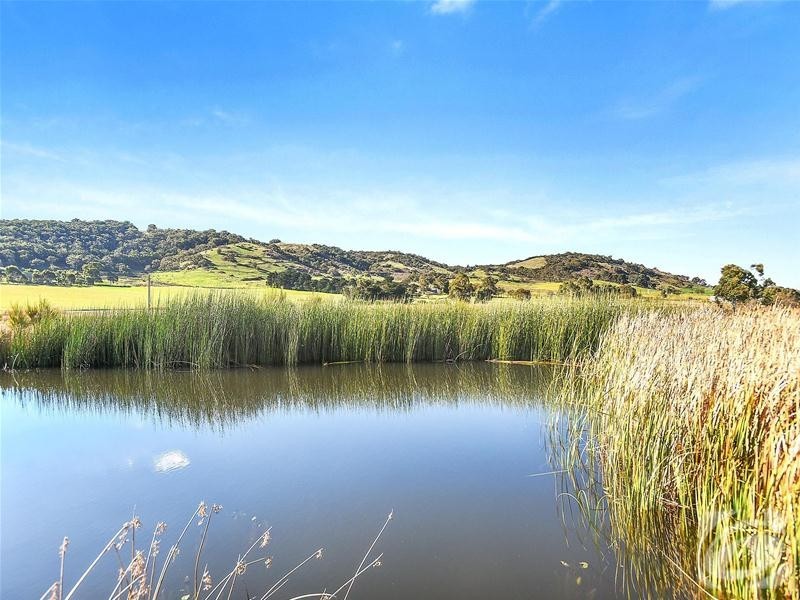 Lot 1 Peters Terrace, Mount Compass SA 5210