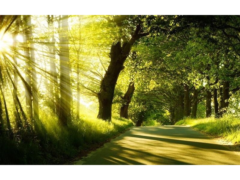 16 Greenfield Court, Willunga SA 5172