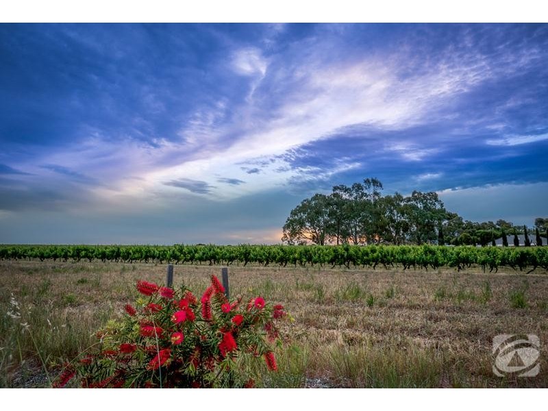 19 Gilligan Grove, Mclaren Flat SA 5171