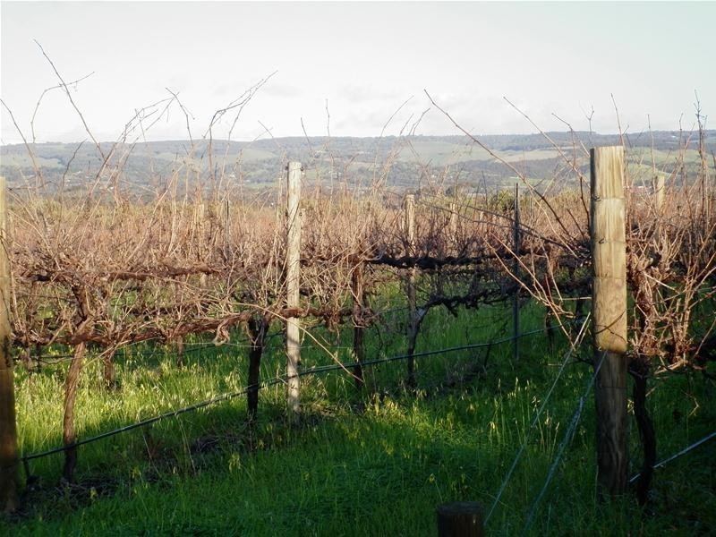 Lots 4 & 5 Malpas  Road, Mclaren Vale SA 5171