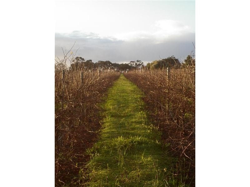 Lots 4 & 5 Malpas  Road, Mclaren Vale SA 5171