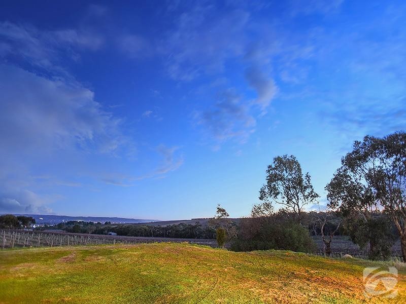 393 Blewitt Springs Road, Blewitt Springs SA 5171