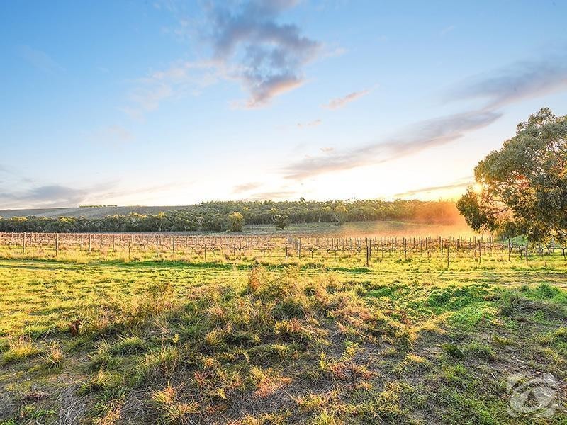 393 Blewitt Springs Road, Blewitt Springs SA 5171