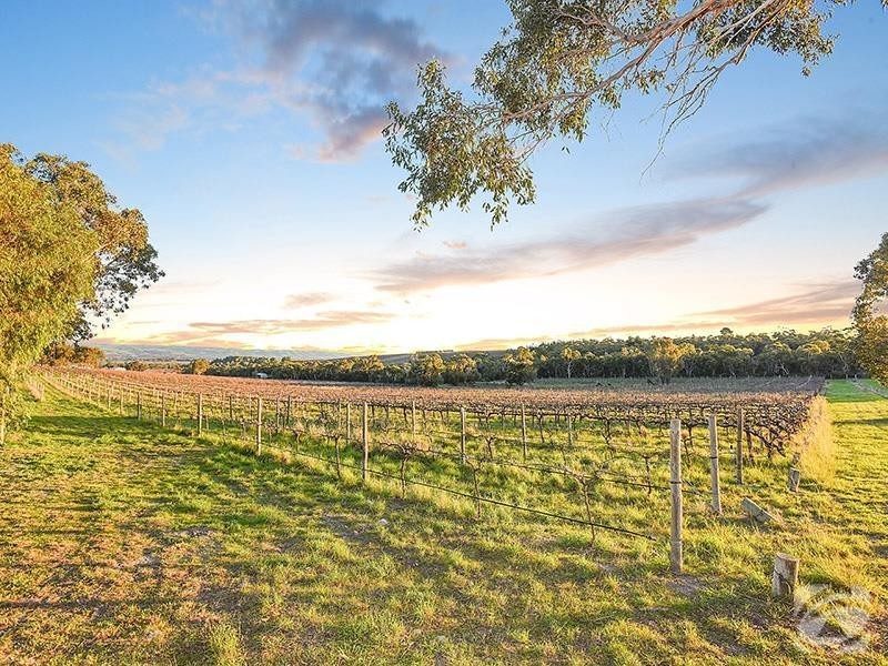 393 Blewitt Springs Road, Blewitt Springs SA 5171