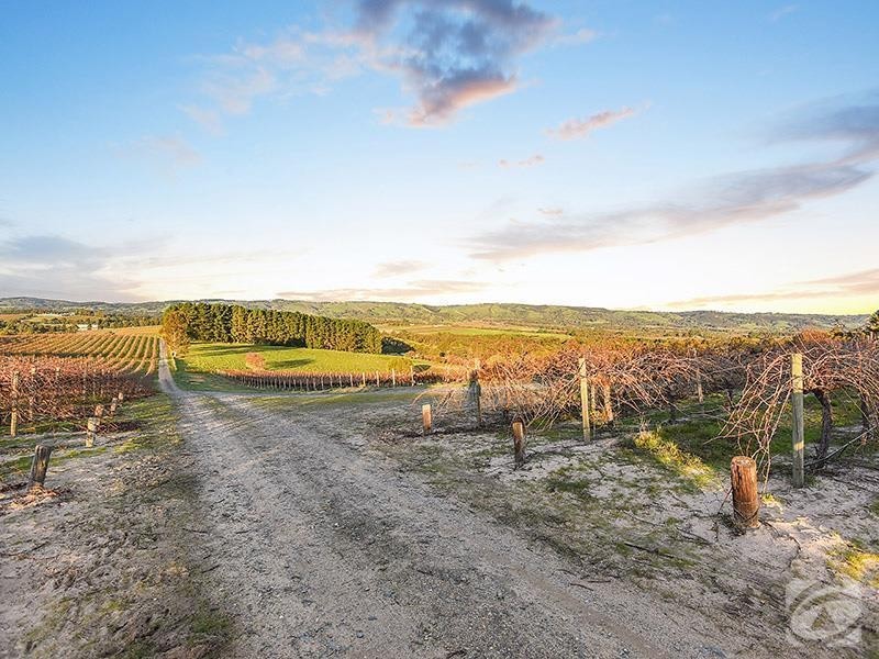 393 Blewitt Springs Road, Blewitt Springs SA 5171