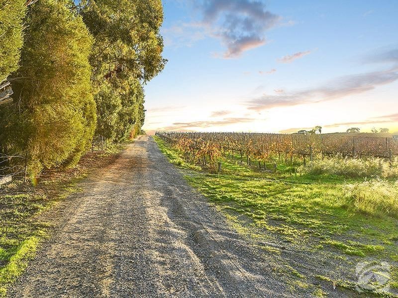 393 Blewitt Springs Road, Blewitt Springs SA 5171