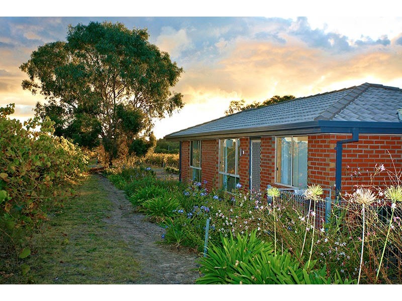 299 Kangarilla Road, Mclaren Flat SA 5171